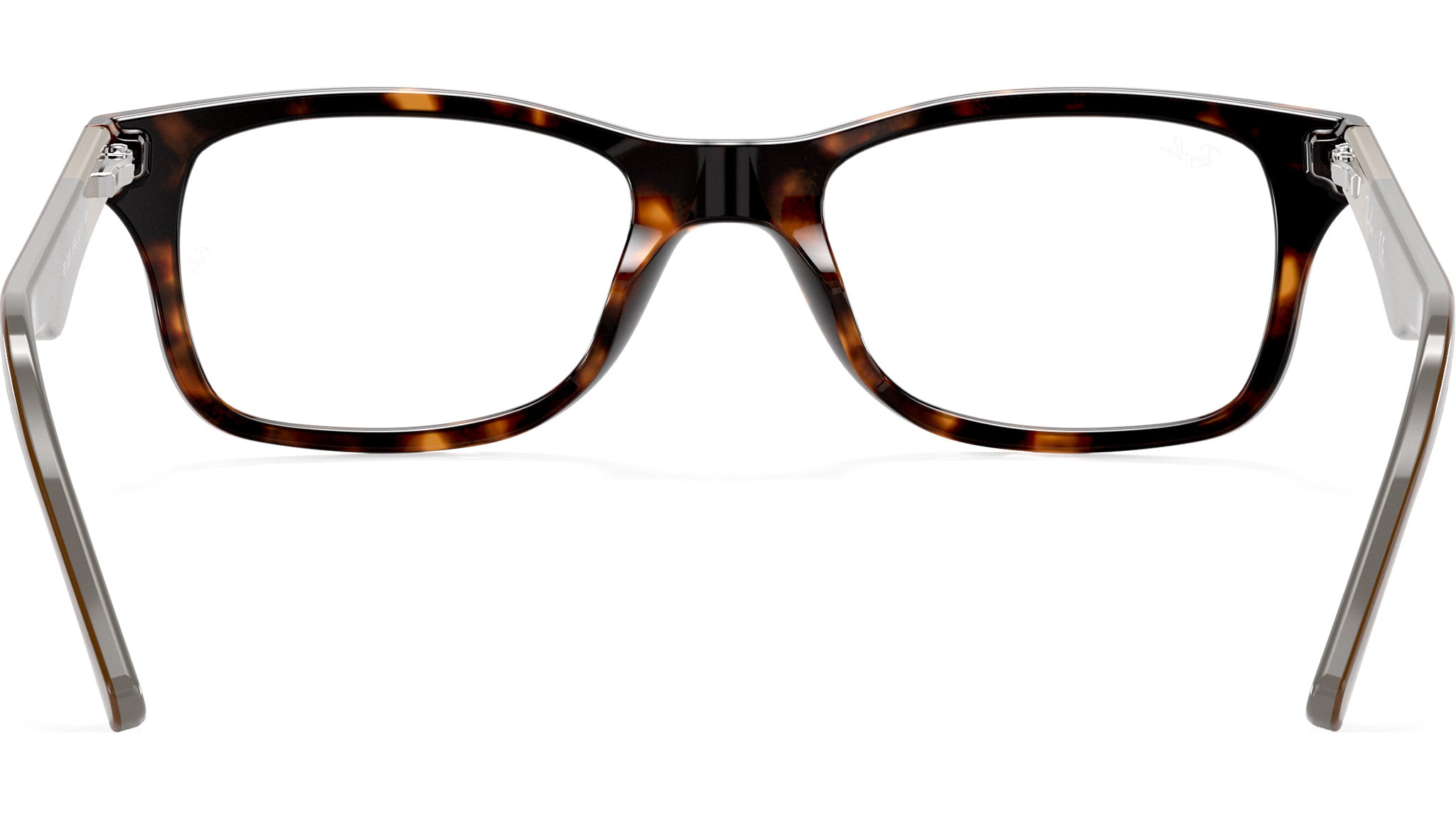 RB5228 Optics 5545