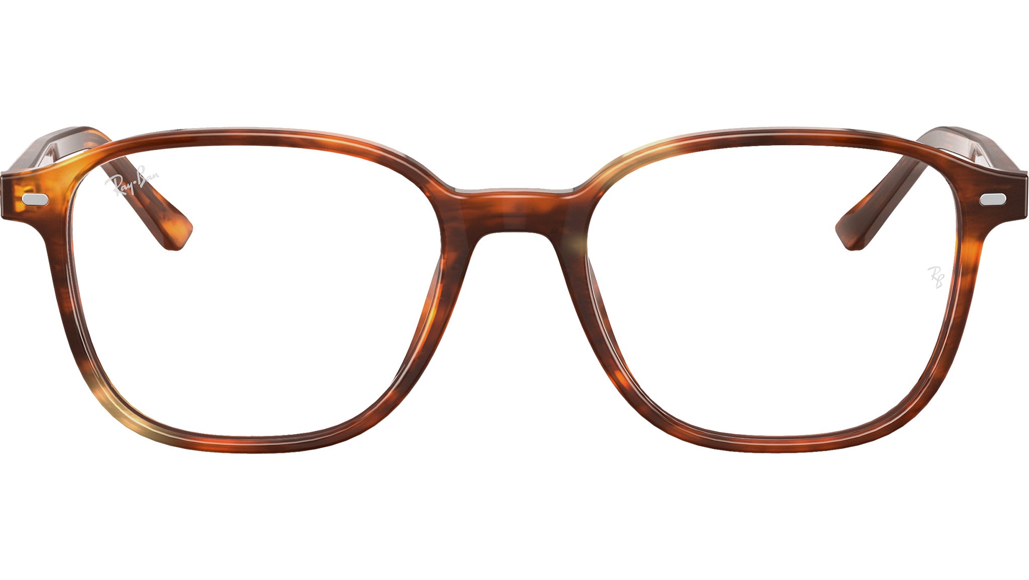 Leonard Optics RB5393 2144