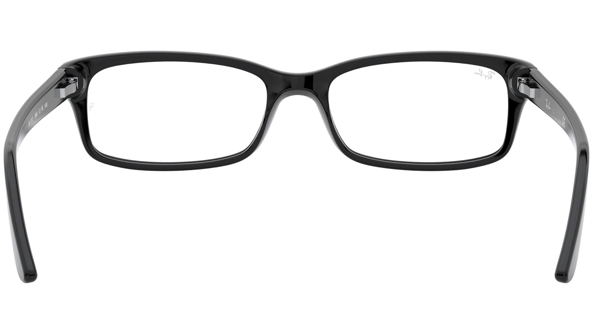 RB5187 shiny black