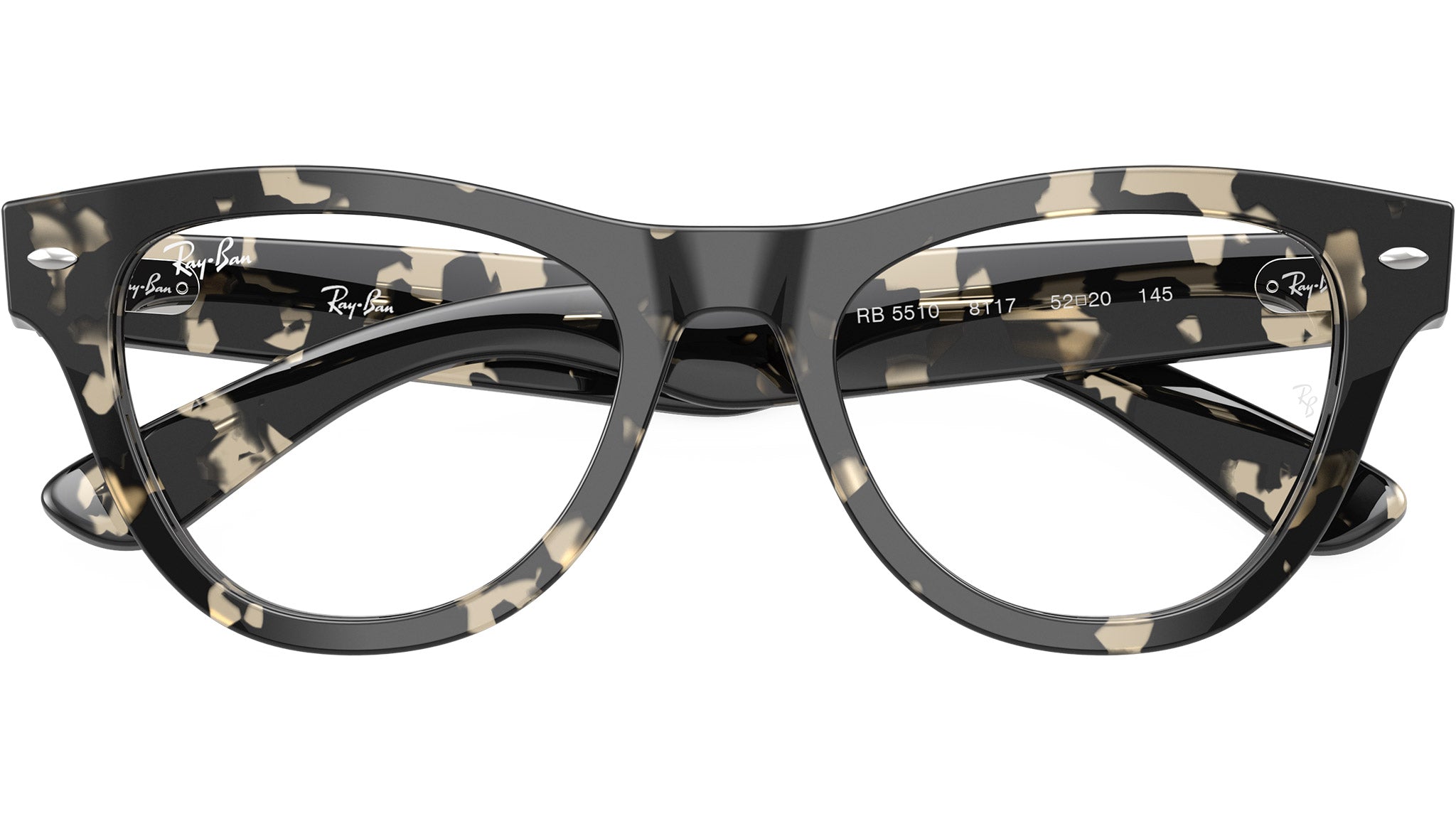 RB5510 Optics 8117