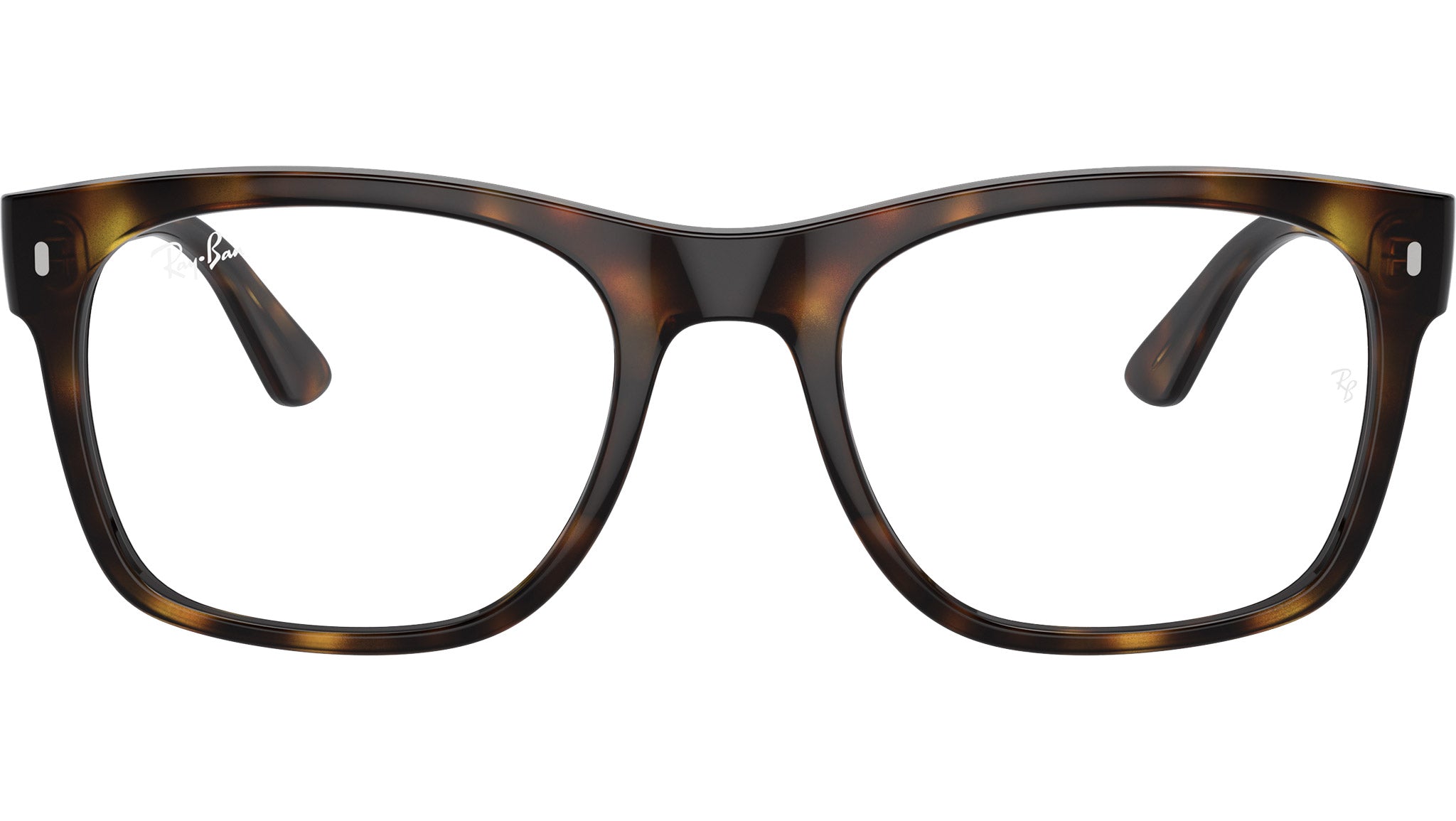 RB7228 Optics 2012