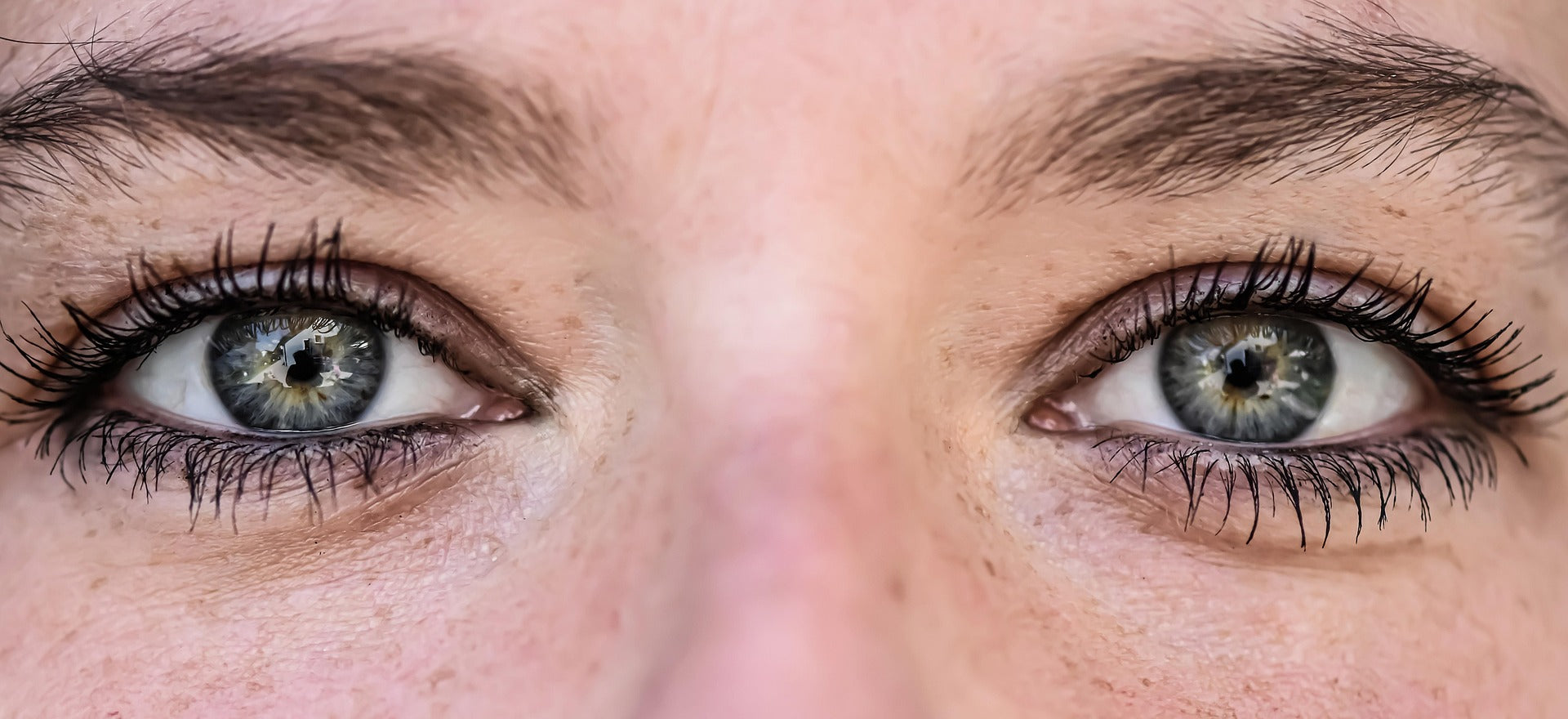 LAC_eyes.jpg
