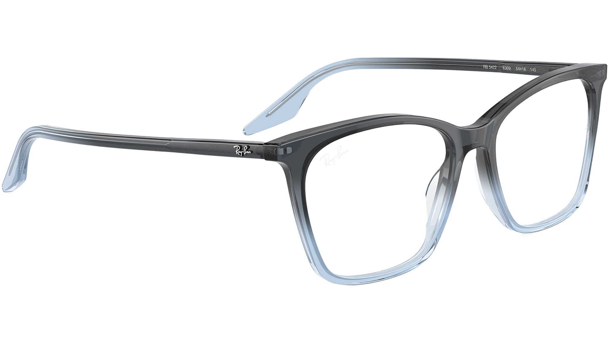RB5422 Optics 8309