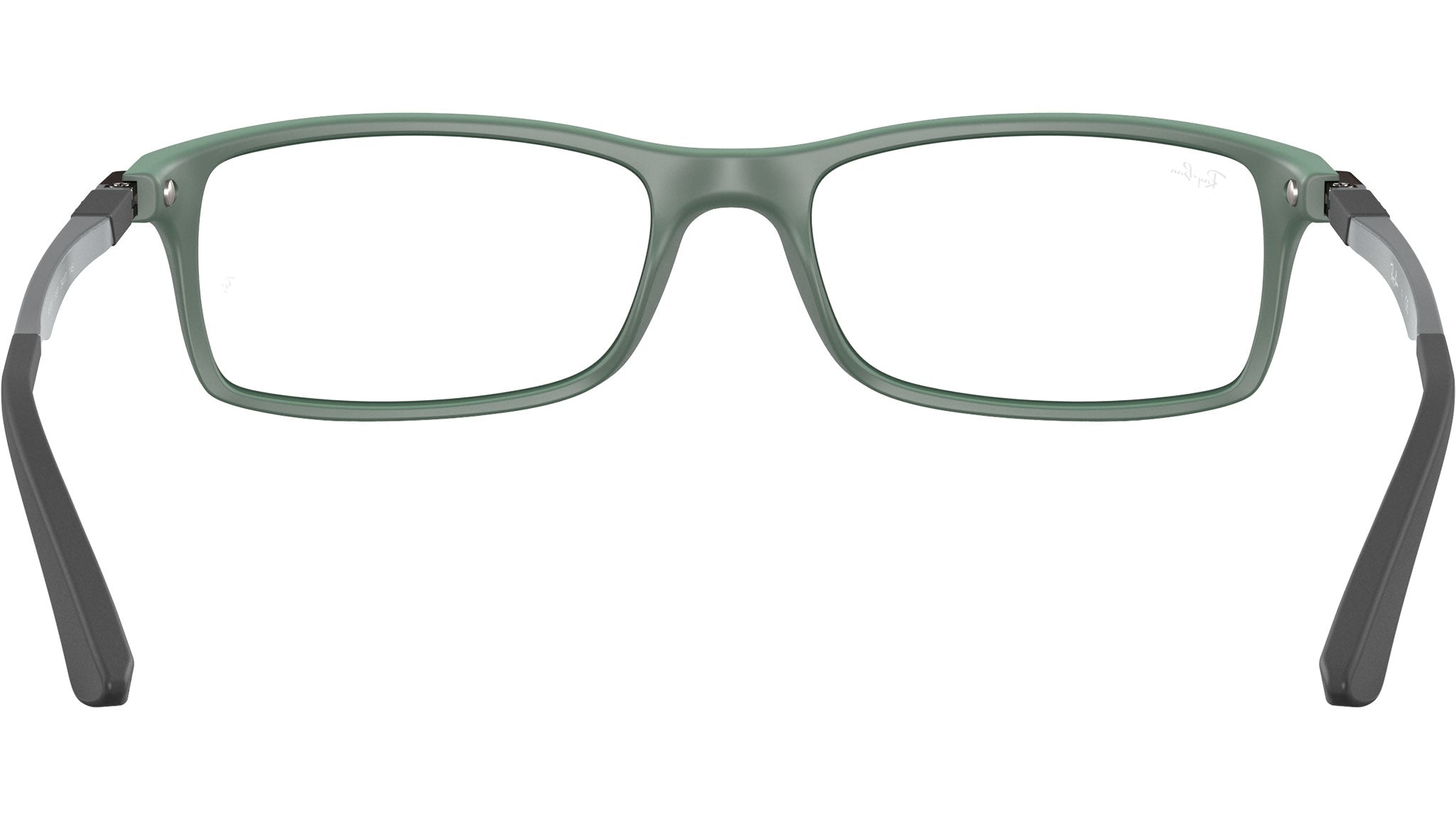 RB7017 Optics 5197