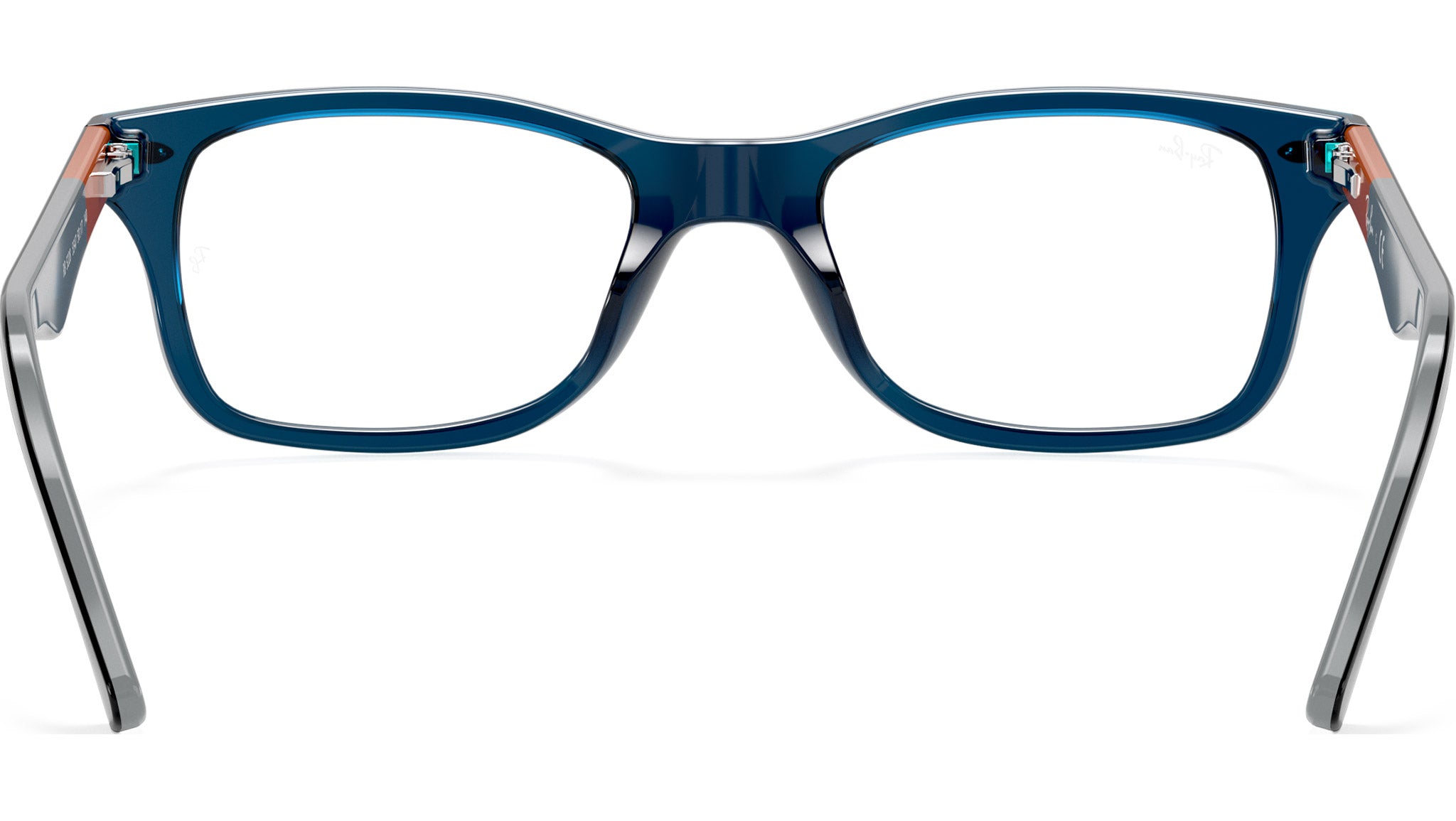 RB5228 Optics 5547