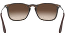 Chris RB4187 tortoise