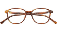 Leonard Optics RB5393 2144