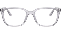 RB7248D Optics 8411