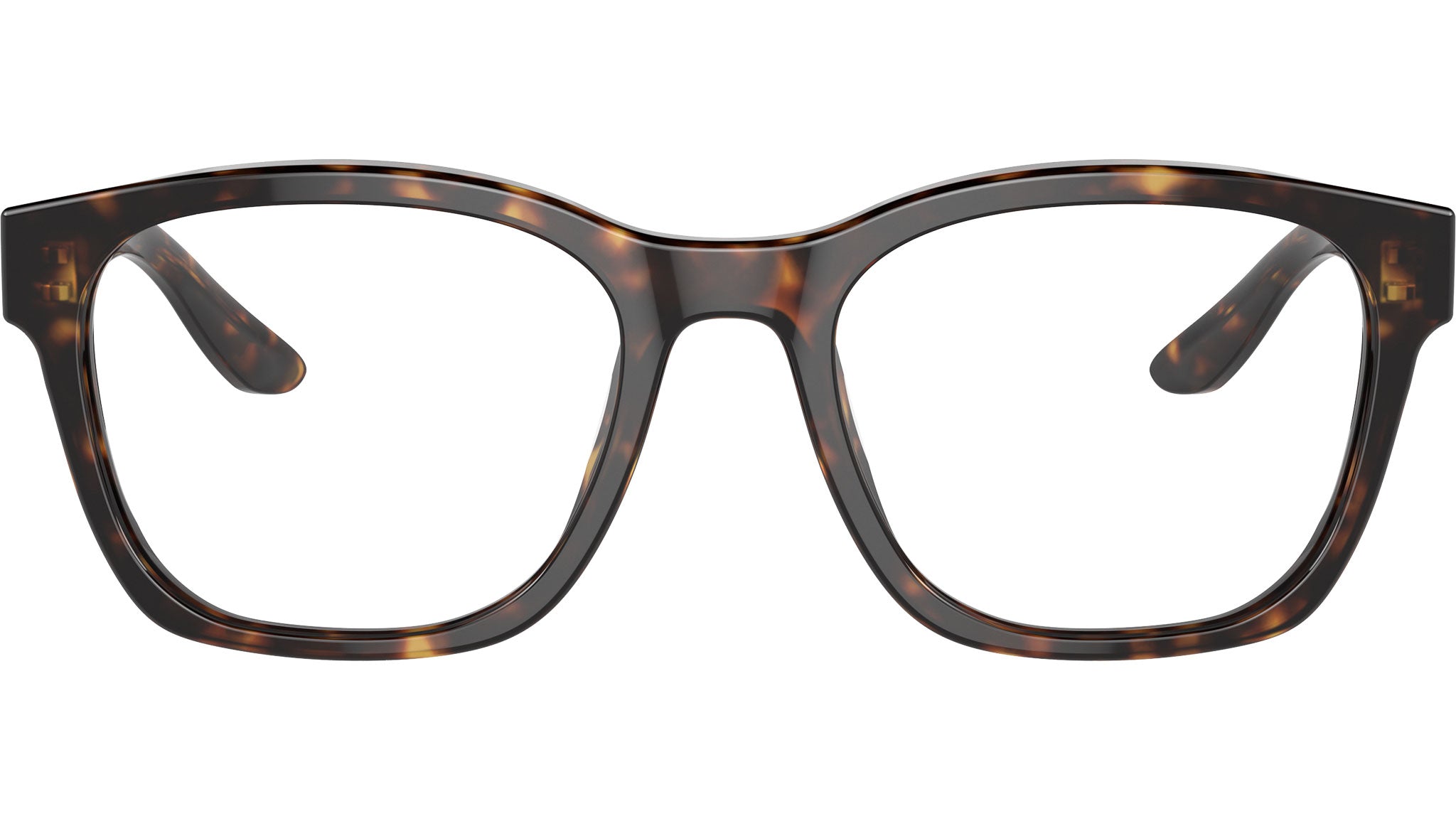 AR 7229 5879 Tortoise