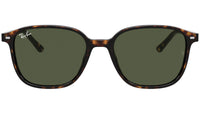Leonard RB2193 tortoise
