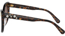 SK6020 100213