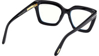 FT6093-B 001
