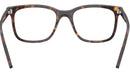 RB5446 Optics 2012