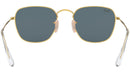 Frank RB3857 9196R5 legend gold
