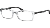RB7017 Optics 5943