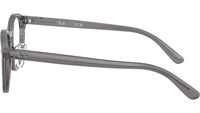 RB5443D Optics 8268