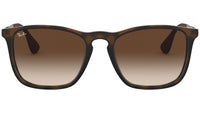 Chris RB4187 tortoise