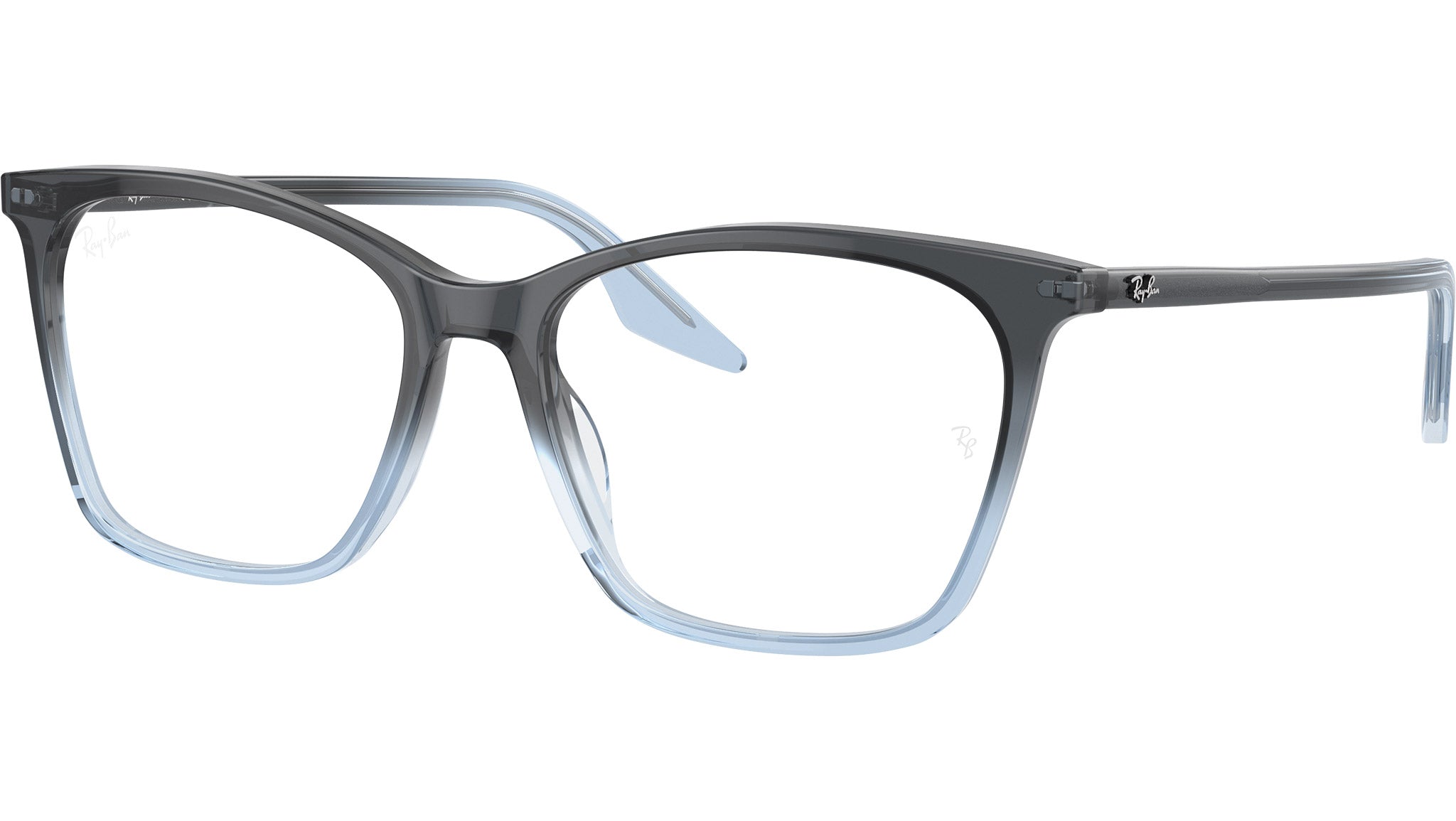 RB5422 Optics 8309