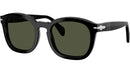 PO0082S 95/31