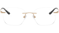RB8783D Optics 1248