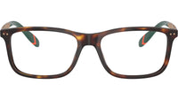 PH2273 6137 Brown Tortoise