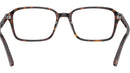 Raimond Optics RB5431 2012