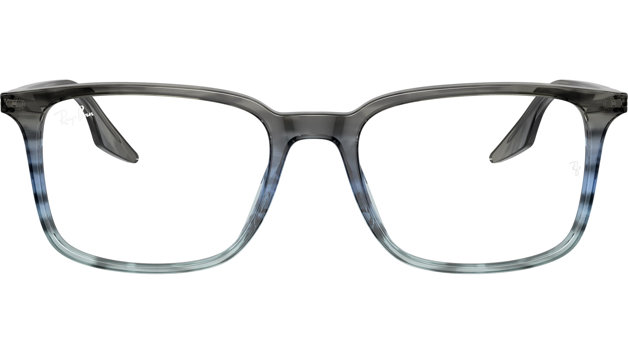 RB5421 Optics 8254