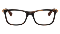 RY1549 3785 Tortoise