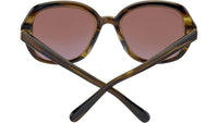 Hayworth SS538 004 Tortoise