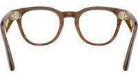 Meta Scriber Optics Gen2