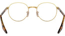 RB3691V Optics 2500