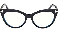 FT6091-B 001