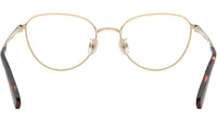SK1029D 4013