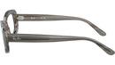 RB2221V Optics 8453