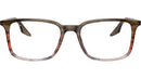 RB5421 Optics 8251