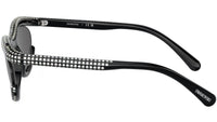 SK6006 100187