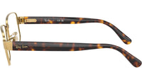 RB6529 Optics 2500