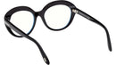 FT6095-B 001