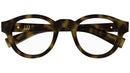 DU0089O 003 Shiny Tortoise