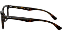RB5279 Optics 2012