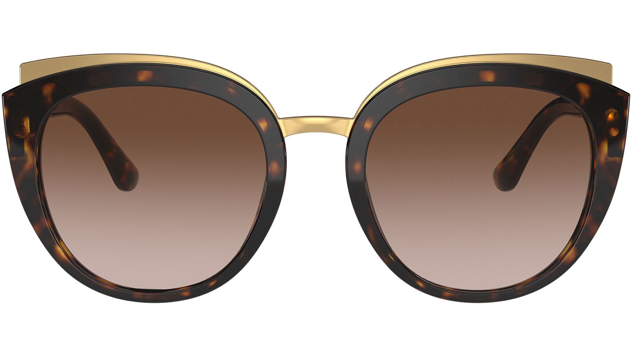 DG 4383 502/13 tortoise