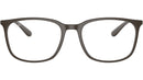RB7199 Optics 8063