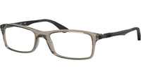 RB7017 Optics 8059