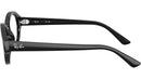 RB7257 Optics 8260