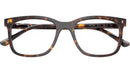 RB5446 Optics 2012