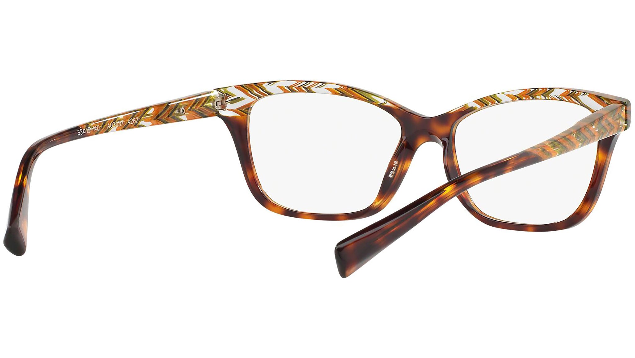 3037 4267 tortoise