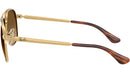 Bill Max RB3793 001/M2