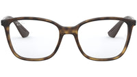 RB7066 shiny havana