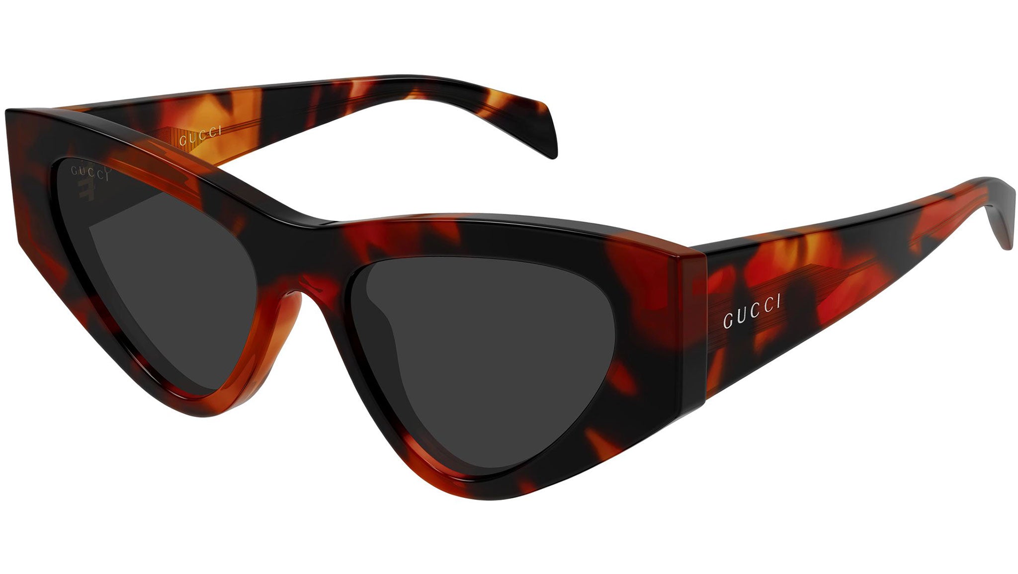 GG2019S 002
