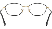 RB3749V Optics 3175